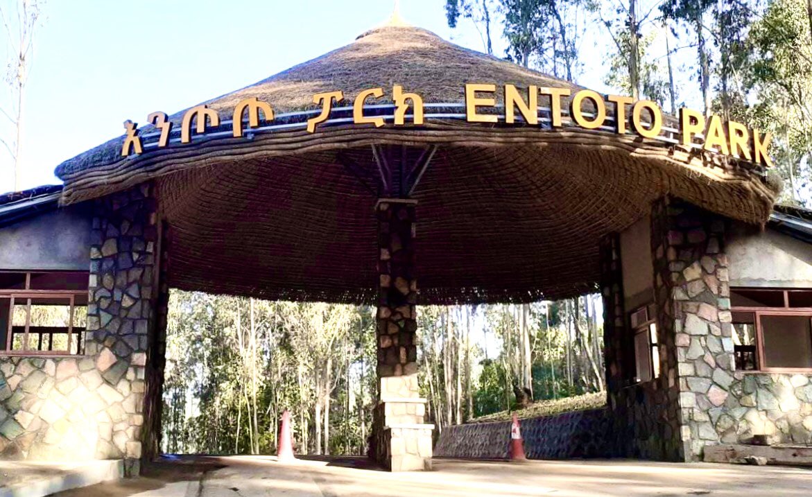 Entoto Park