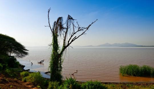 Abaya Lake