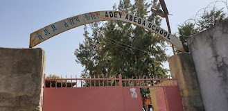 Adey Abeba School | Meskel Flower |