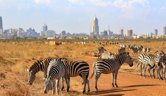 Nairobi National Park