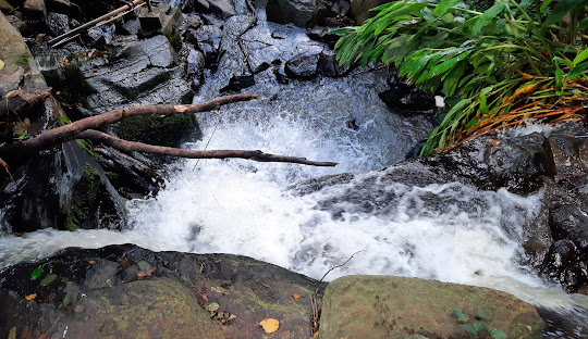 The Oloolua Nature Trail