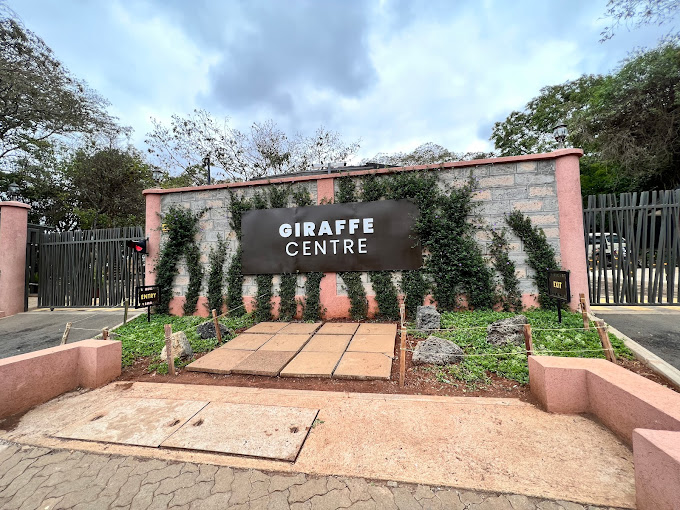 Giraffe Centre