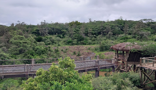 Nairobi Safari Walk