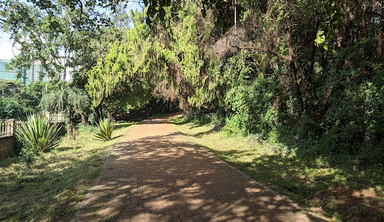 The Nairobi Arboretum