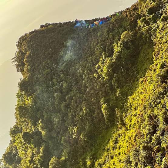 Bor mountain