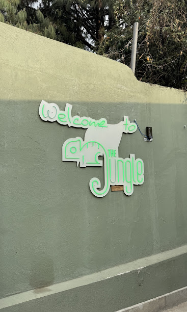 The jungle club