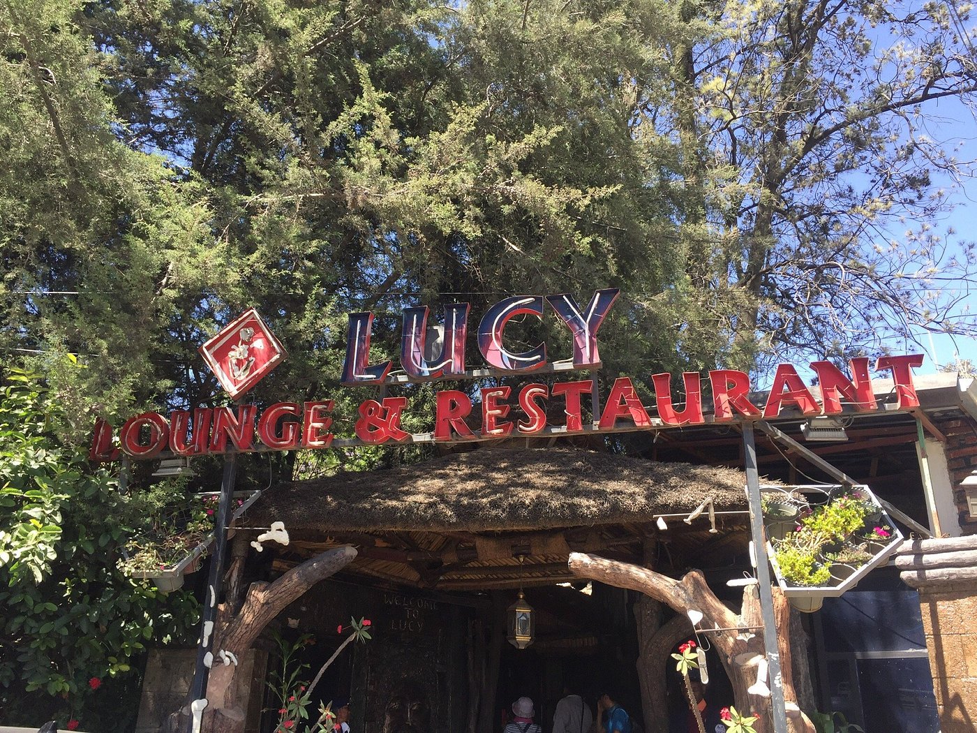 Lucy lounge and restaurant