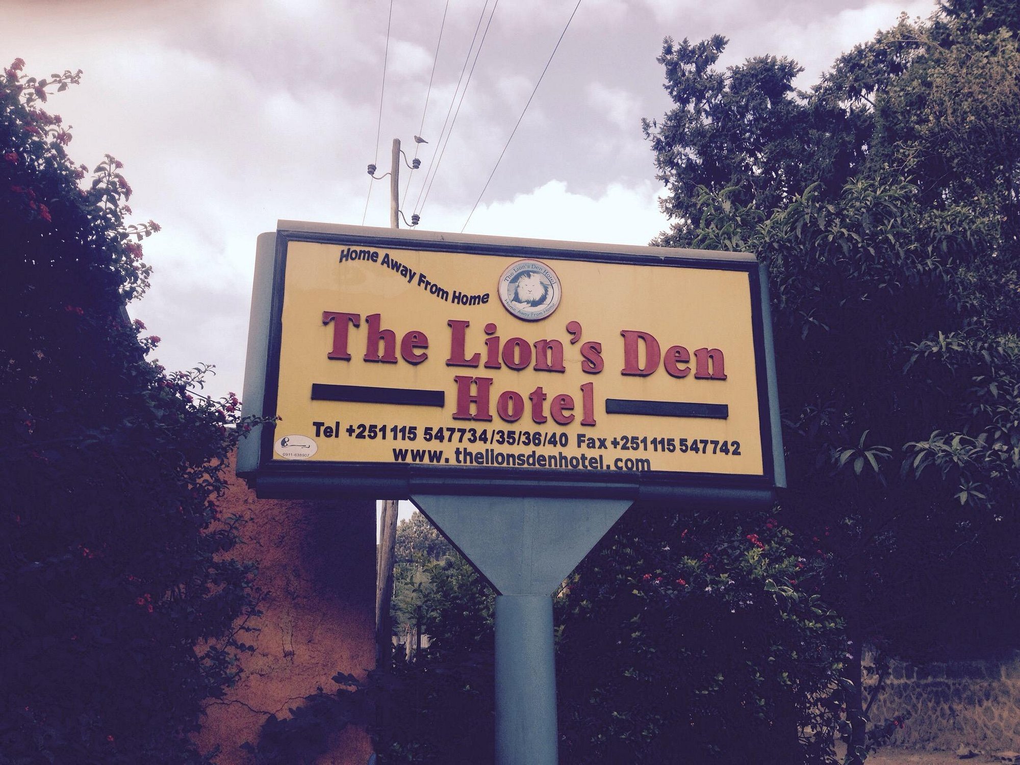 the lions den hotel